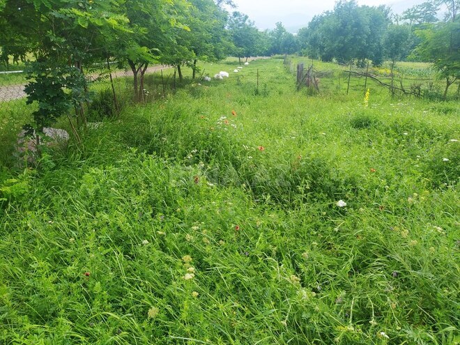 4 otaqlı həyət evi/bağ evi - Gədəbəy - 100 m² (4)