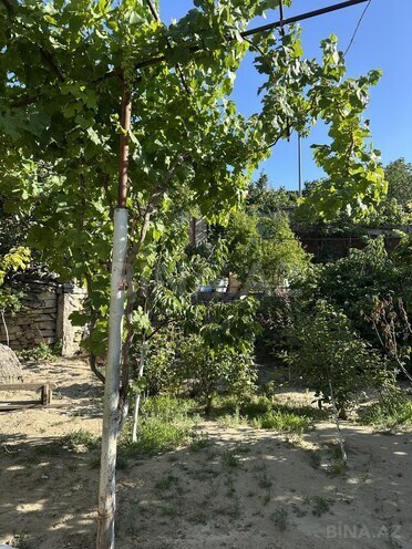 2 otaqlı həyət evi/bağ evi - Əmircan q. - 32 m² (1)