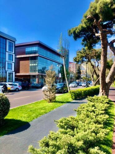 6 otaqlı ofis - Gənclik m. - 300 m² (5)
