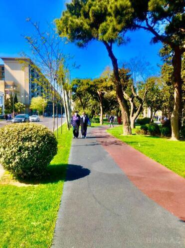 6 otaqlı ofis - Gənclik m. - 300 m² (6)