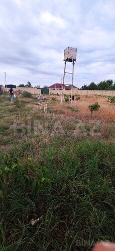 Участок - Хачмаз - 12 сот (6)
