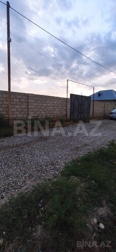 Участок - Хачмаз - 12 сот (5)