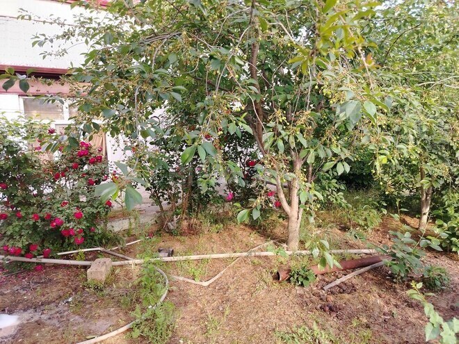 6 otaqlı həyət evi/bağ evi - Albalılıq q. - 400 m² (28)