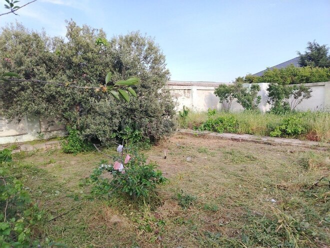 6 otaqlı həyət evi/bağ evi - Albalılıq q. - 400 m² (29)