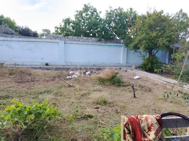 6 otaqlı həyət evi/bağ evi - Albalılıq q. - 400 m² (5)