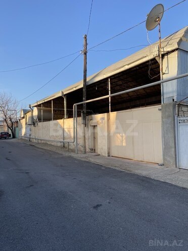 7 otaqlı həyət evi/bağ evi - Tovuz - 220 m² (1)