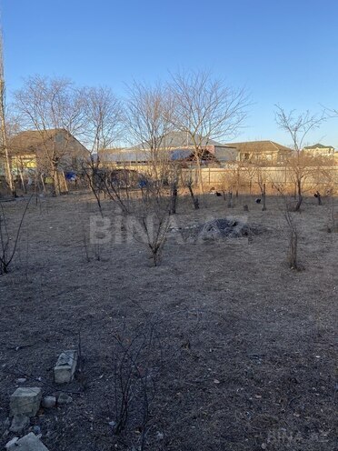 7 otaqlı həyət evi/bağ evi - Tovuz - 220 m² (14)