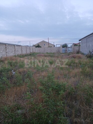 Torpaq - Albalılıq q. - 6 sot (3)