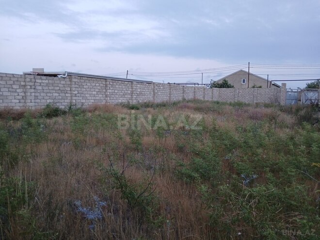 Torpaq - Albalılıq q. - 6 sot (1)