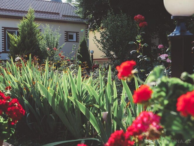 1 otaqlı həyət evi/bağ evi - Qusar - 30 m² (3)