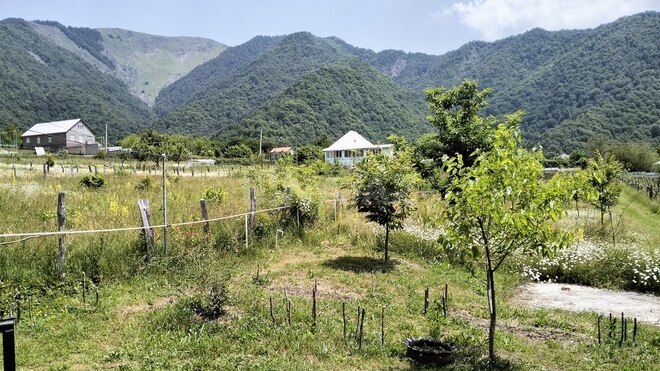 3 otaqlı həyət evi/bağ evi - İsmayıllı - 100 m² (9)