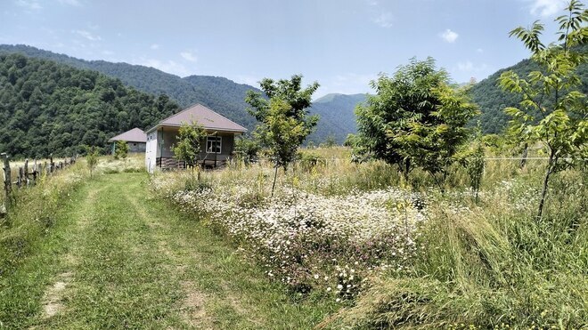 3 otaqlı həyət evi/bağ evi - İsmayıllı - 100 m² (10)