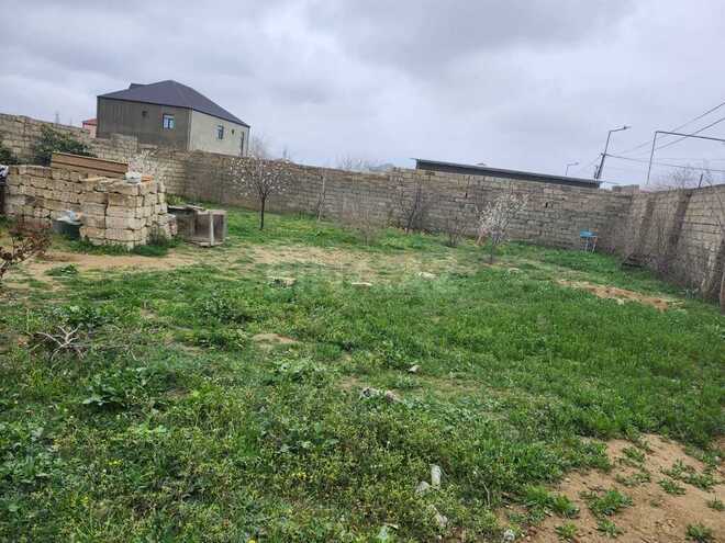 1 otaqlı həyət evi/bağ evi - Balaxanı q. - 20 m² (1)