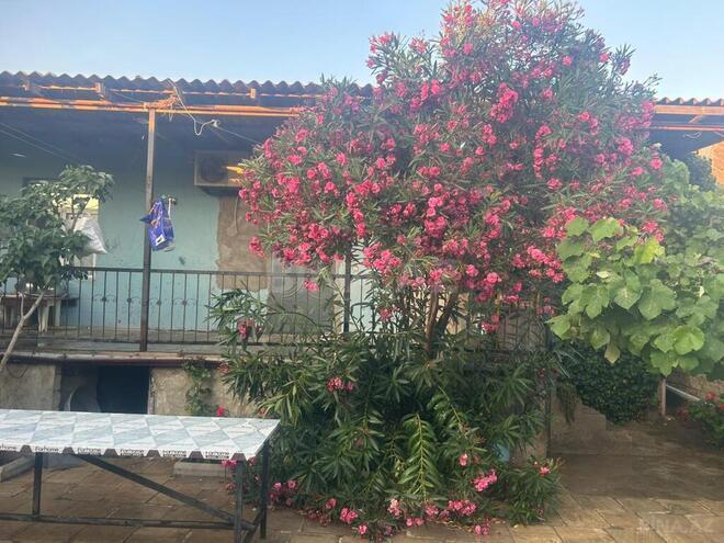4 otaqlı həyət evi/bağ evi - Binə q. - 100 m² (4)