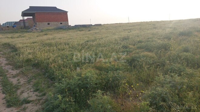 Torpaq - Mehdiabad q. - 24 sot (6)