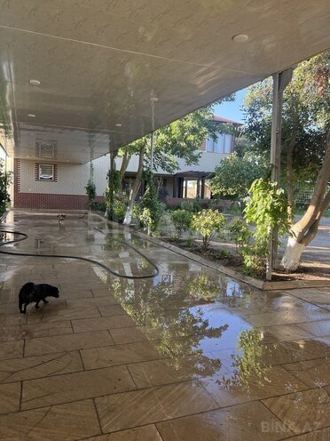 6 otaqlı həyət evi/bağ evi - Albalılıq q. - 430 m² (1)