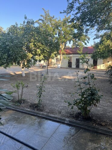 6 otaqlı həyət evi/bağ evi - Albalılıq q. - 430 m² (20)