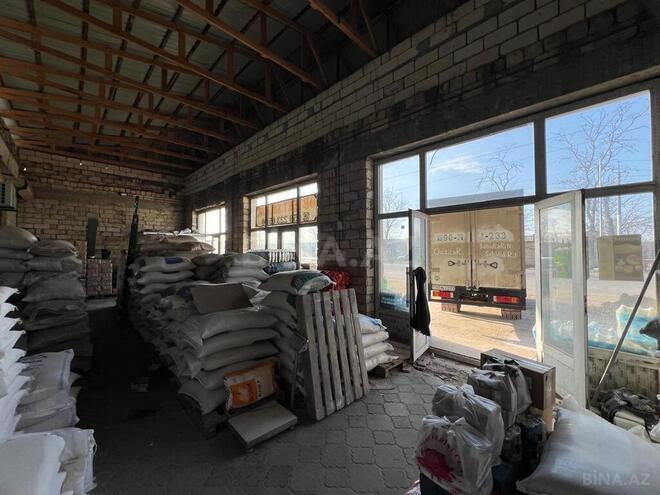 Obyekt - Salyan - 488 m² (10)