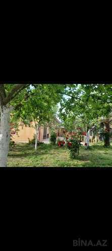 3 otaqlı həyət evi/bağ evi - İsmayıllı - 100 m² (24)