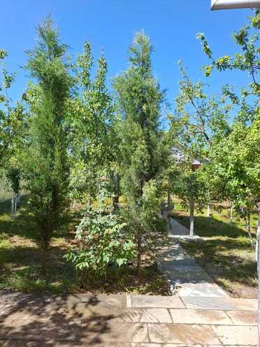 3 otaqlı həyət evi/bağ evi - İsmayıllı - 100 m² (9)