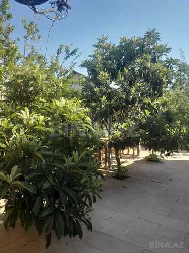 3 otaqlı həyət evi/bağ evi - İsmayıllı - 100 m² (4)