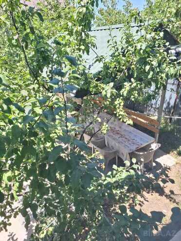 3 otaqlı həyət evi/bağ evi - İsmayıllı - 100 m² (11)