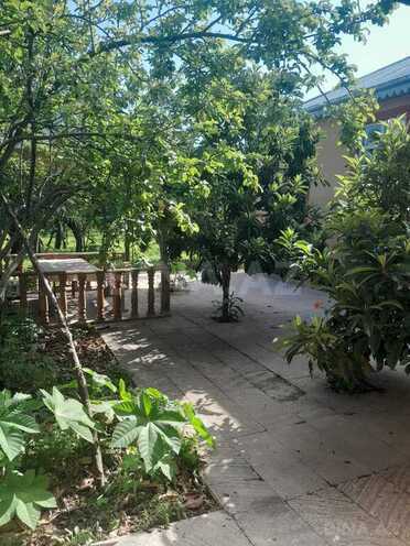 3 otaqlı həyət evi/bağ evi - İsmayıllı - 100 m² (25)