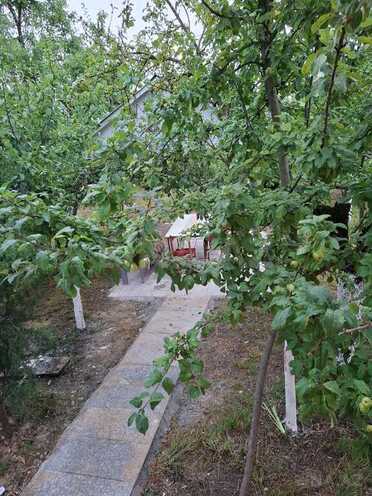 3 otaqlı həyət evi/bağ evi - İsmayıllı - 100 m² (3)