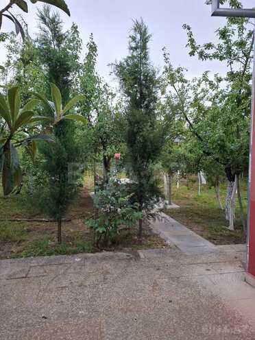 3 otaqlı həyət evi/bağ evi - İsmayıllı - 100 m² (6)
