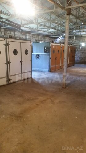 Obyekt - Samux - 3600 m² (1)