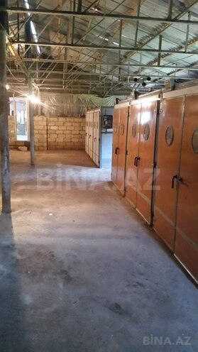 Obyekt - Samux - 3600 m² (3)