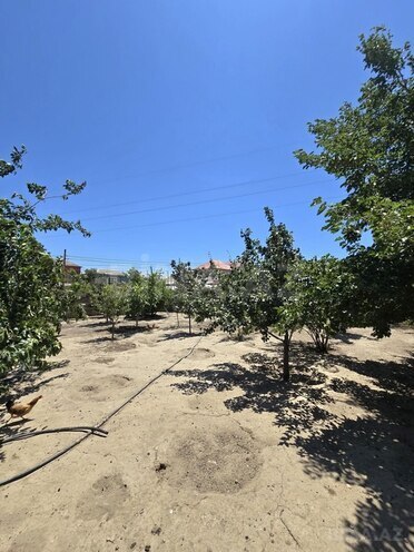 5 otaqlı həyət evi/bağ evi - Çiçək q. - 180 m² (19)