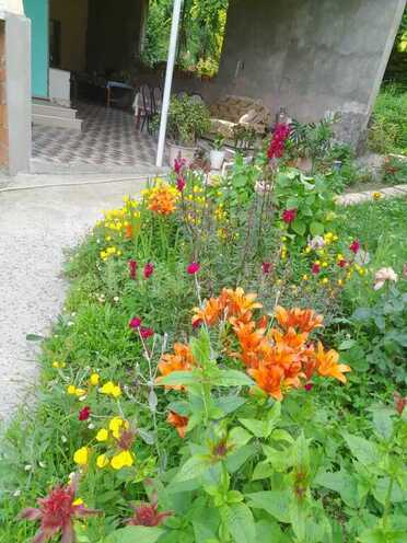 4 otaqlı həyət evi/bağ evi - Qax - 170 m² (13)