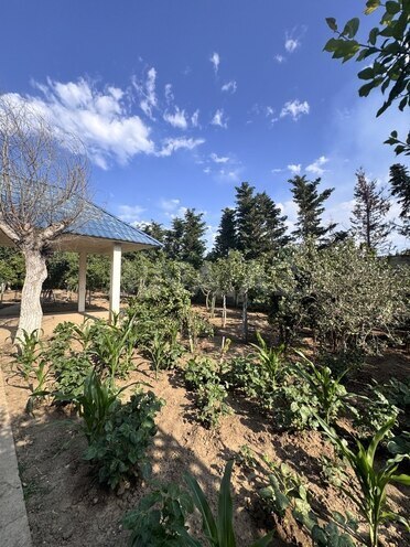 6-комн. дом/дача - пос. Мардакан - 240 м² (12)