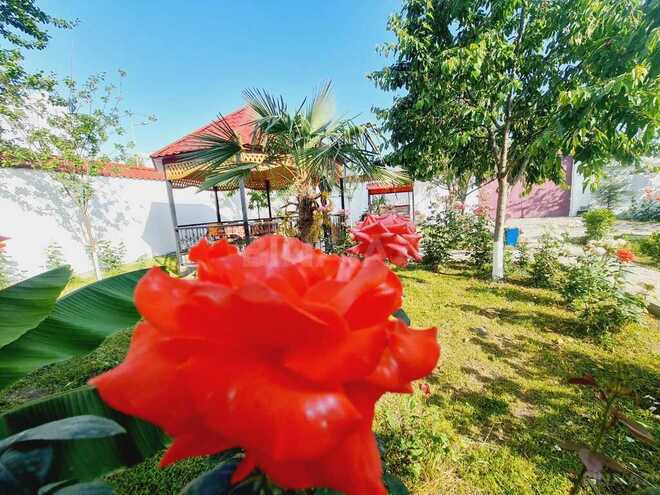 3 otaqlı həyət evi/bağ evi - Qəbələ - 100 m² (6)