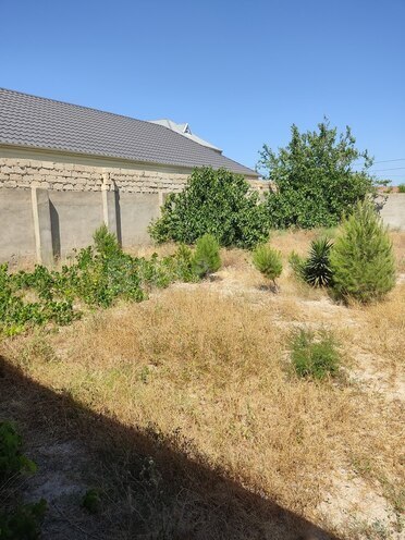 4 otaqlı həyət evi/bağ evi - Pirşağı q. - 162 m² (12)