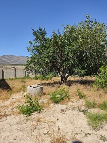 4 otaqlı həyət evi/bağ evi - Pirşağı q. - 162 m² (5)