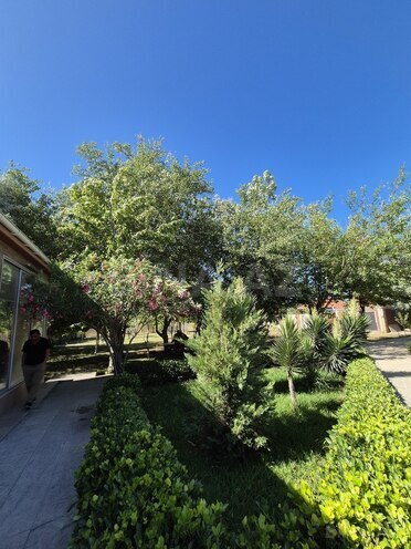 4 otaqlı həyət evi/bağ evi - Abşeron r. - 300 m² (12)