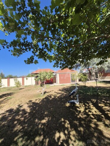 4 otaqlı həyət evi/bağ evi - Abşeron r. - 300 m² (6)