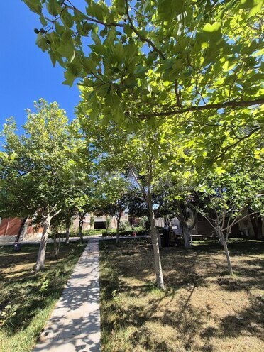 4 otaqlı həyət evi/bağ evi - Abşeron r. - 300 m² (4)
