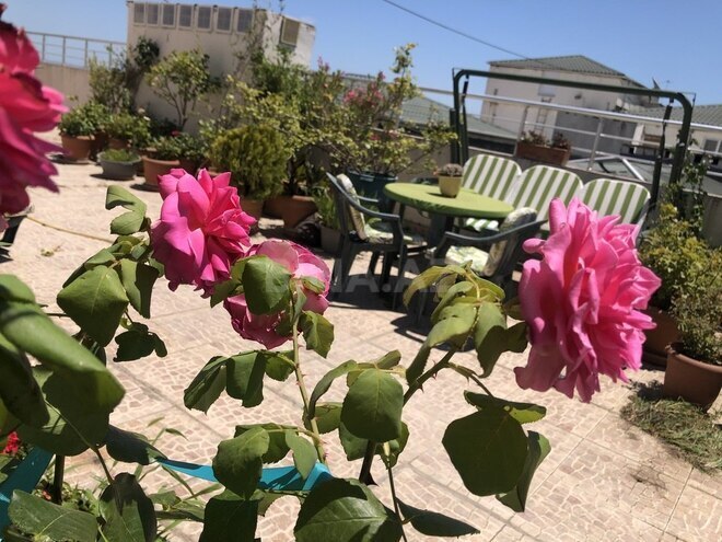 6 otaqlı yeni tikili - 8 Noyabr m. - 432 m² (23)