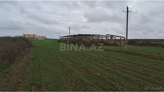 Torpaq - Şabran - 160 sot (1)