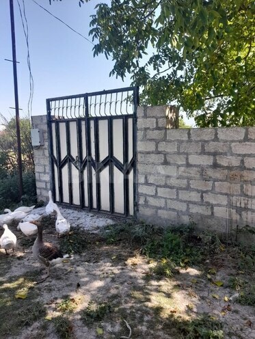 2-комн. дом/дача - Исмаиллы - 45 м² (1)