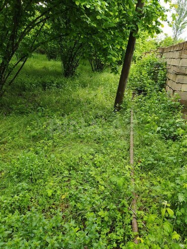 Участок - Габала - 50 сот (4)