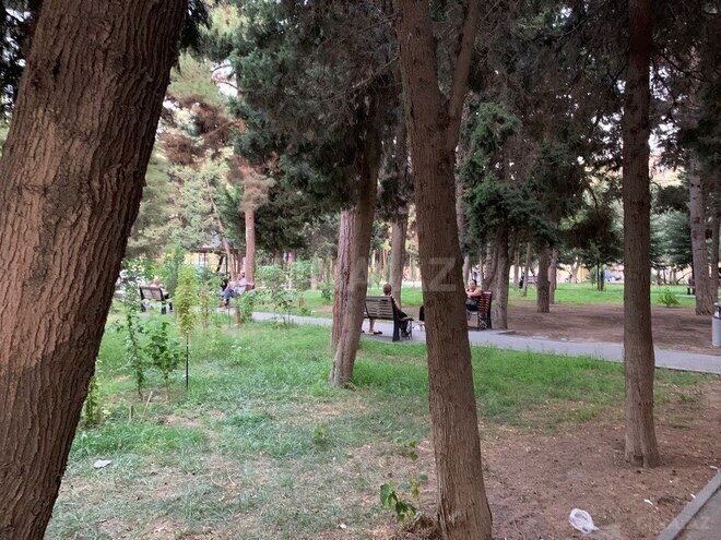 3 otaqlı köhnə tikili - Azadlıq Prospekti m. - 80 m² (8)