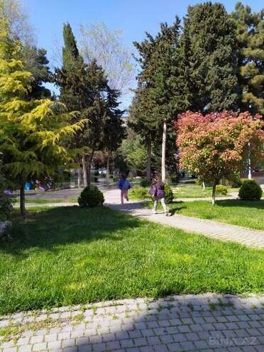 3 otaqlı köhnə tikili - Azadlıq Prospekti m. - 80 m² (6)