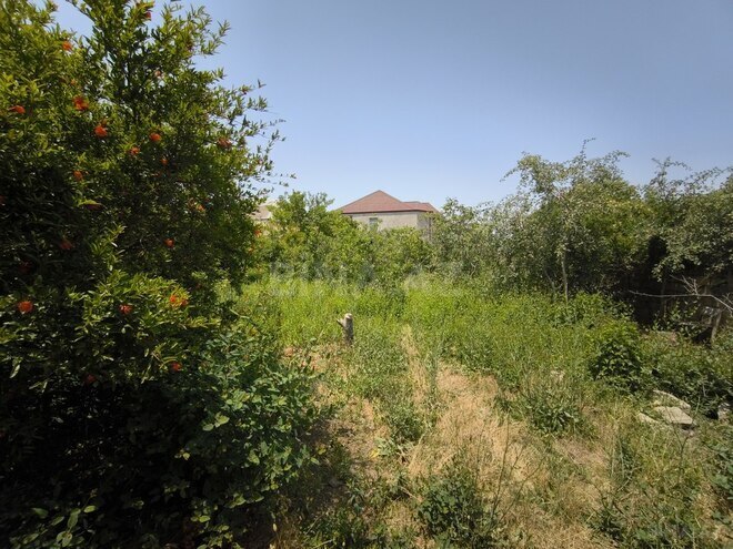 Torpaq - Mehdiabad q. - 10 sot (1)