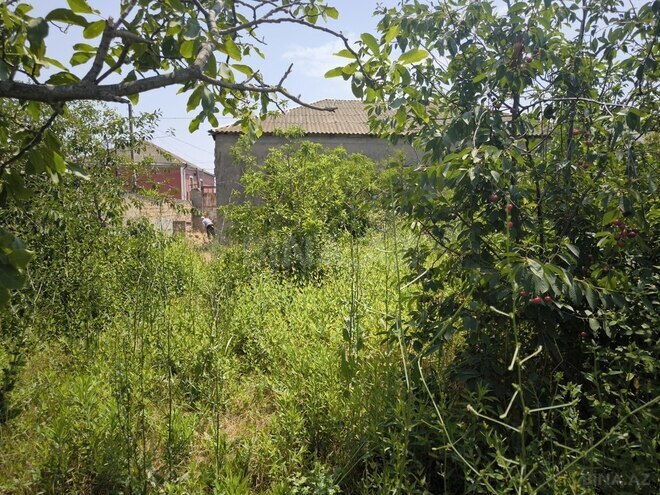 Torpaq - Mehdiabad q. - 10 sot (3)