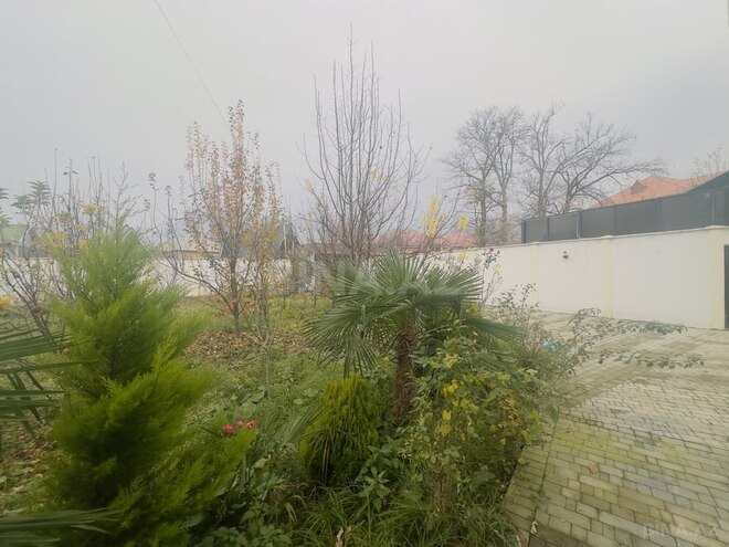 6 otaqlı həyət evi/bağ evi - Qəbələ - 280 m² (9)