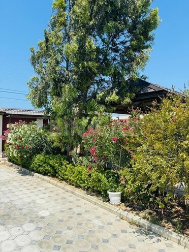 3 otaqlı həyət evi/bağ evi - Qala q. - 170 m² (23)